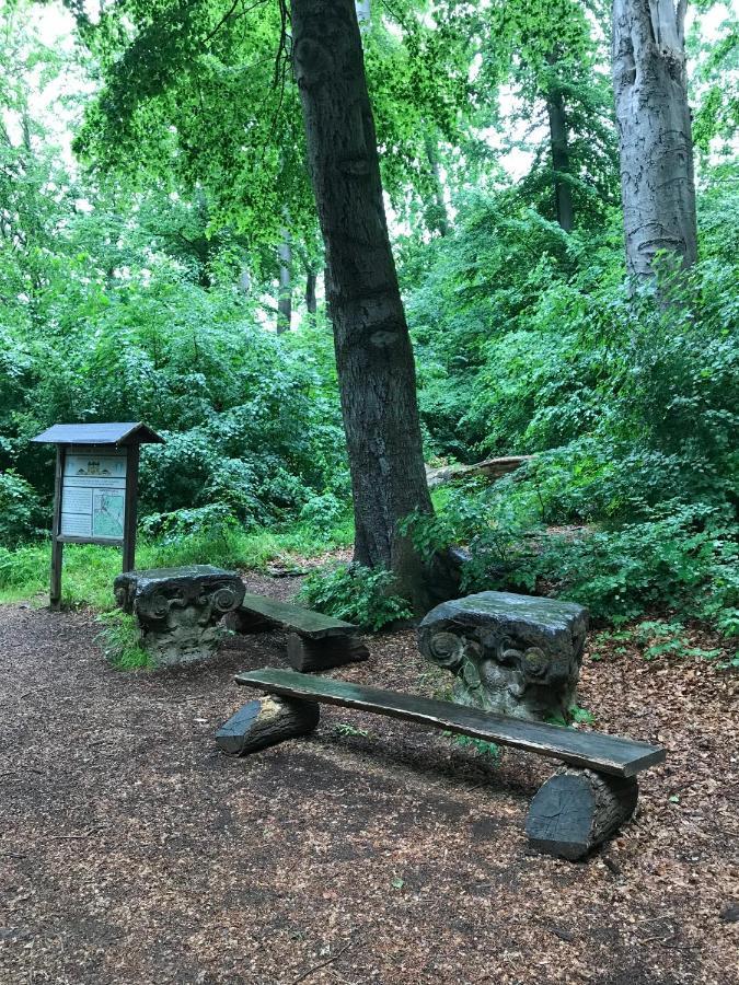 Ferienwohnung Morgensonne Am Kurpark Bad Berka - Parkplatz - Spielplatz - Wlan - 2 Schlafzimmer Exteriör bild