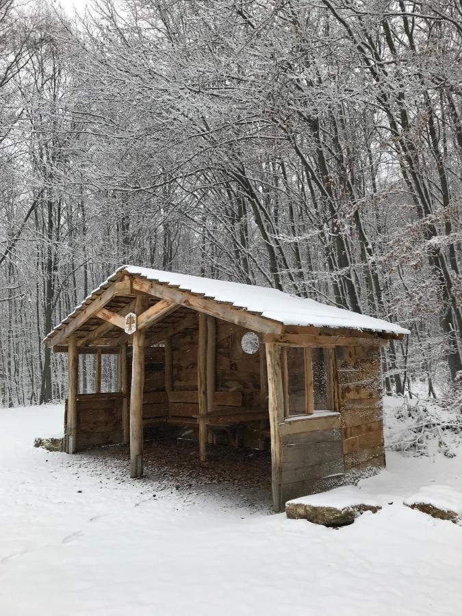 Ferienwohnung Morgensonne Am Kurpark Bad Berka - Parkplatz - Spielplatz - Wlan - 2 Schlafzimmer Exteriör bild